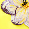 INDIE APPLIQUE SLEEVE YELLOW IRIS PRINT SET