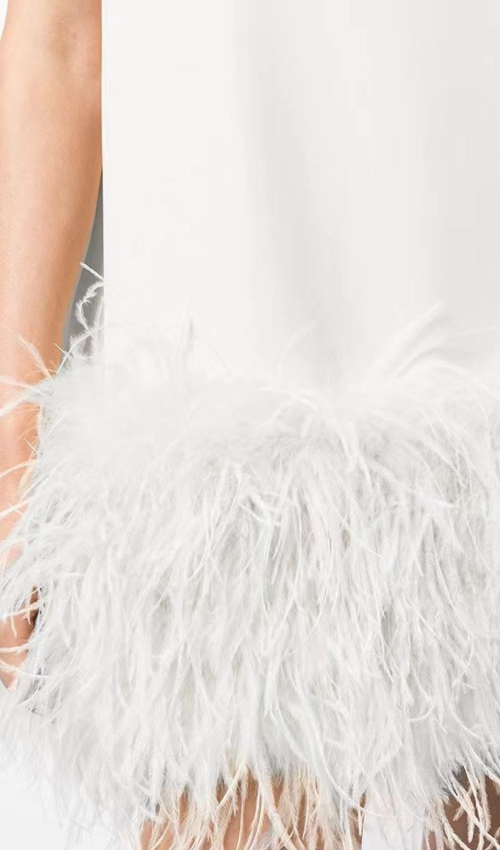 FEATHER MINI DRESS FOR PARTY NIGHT