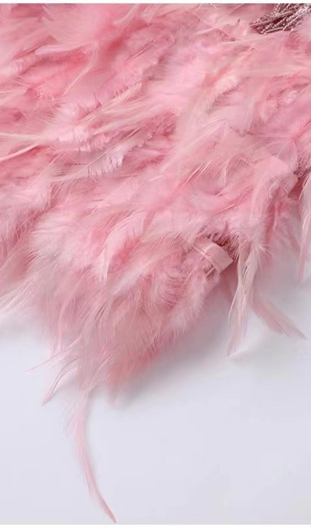 15_a1419b37-2e38-4484-86bf-ca3c59a47791 PINK TASSEL FEATHER MINI DRESS FOR PARTY