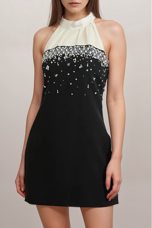 2024-04-08_2146-vmake OCTAVIA CRYSTAL MINI DRESS FOR PARTY GLAM