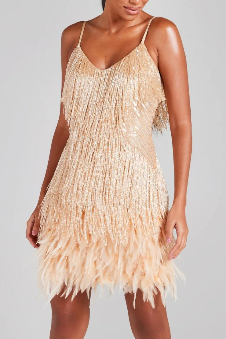 2025-11-19_111250_325_20e1d351-7d5f-44da-8983-3dd2790b17a7 CHAMPAGNE TASSEL FEATHER MINI PARTY DRESS