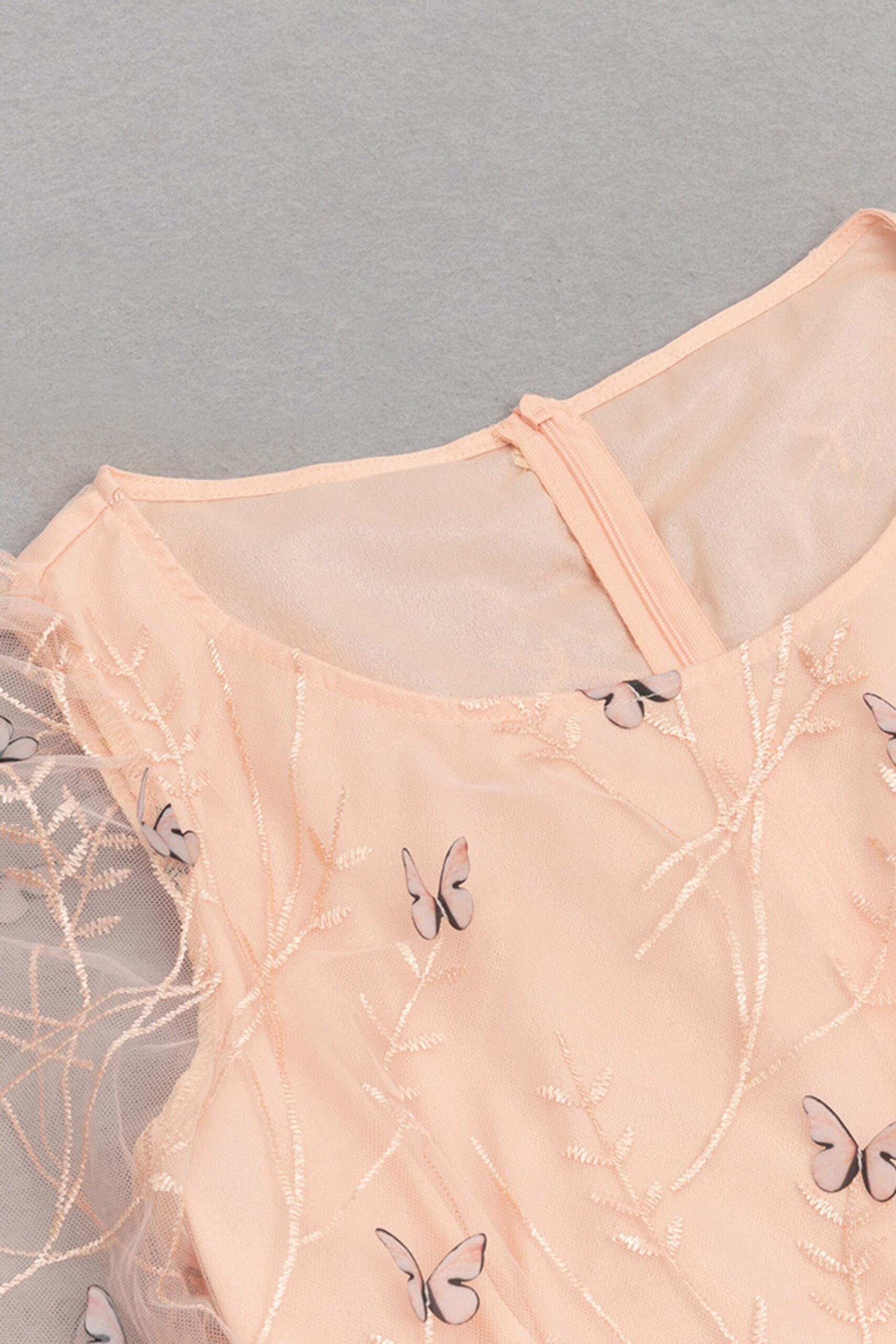 EMBROIDERED TULLE LONG SLEEVE MAXI DRESS
