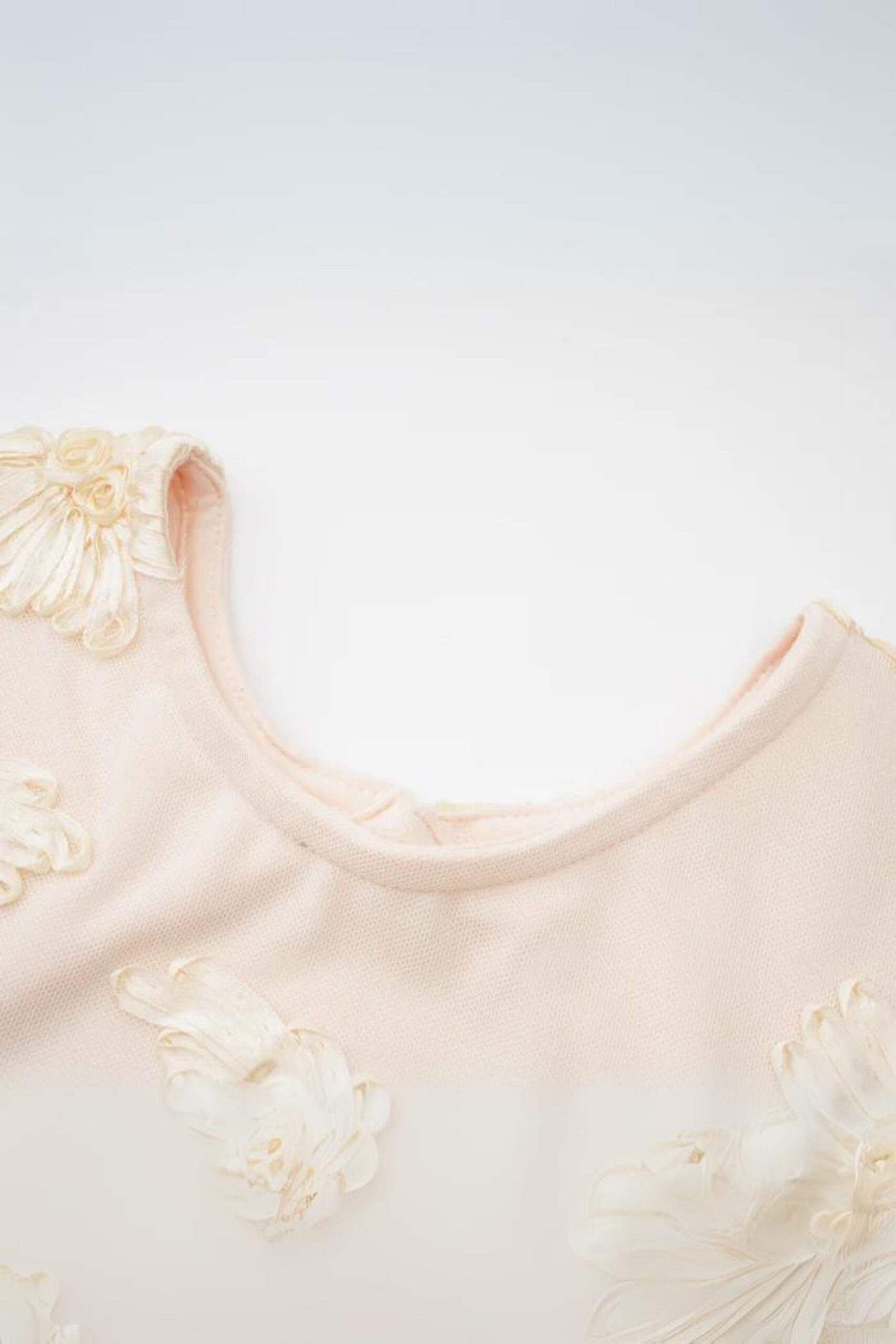 EMBROIDERED MESH FLARE SLEEVE MINI DRESS