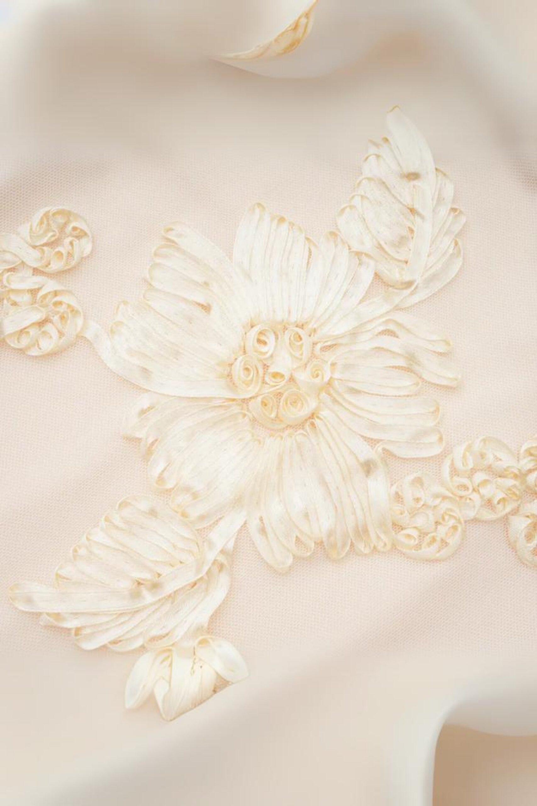 EMBROIDERED MESH FLARE SLEEVE MINI DRESS