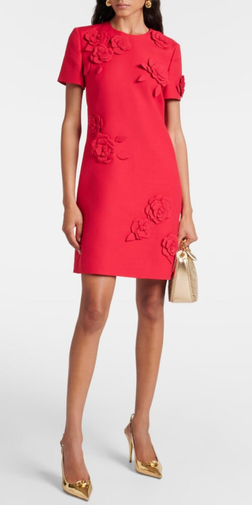 Eleanor Floral Appliqué Mini Dress