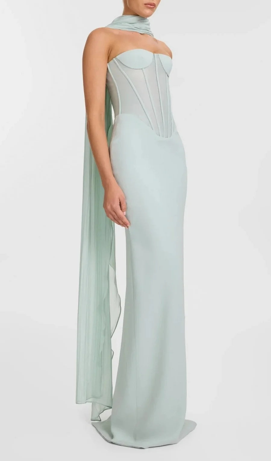 RAMIRE STRAPLESS MESH CORSET MAXI DRESS