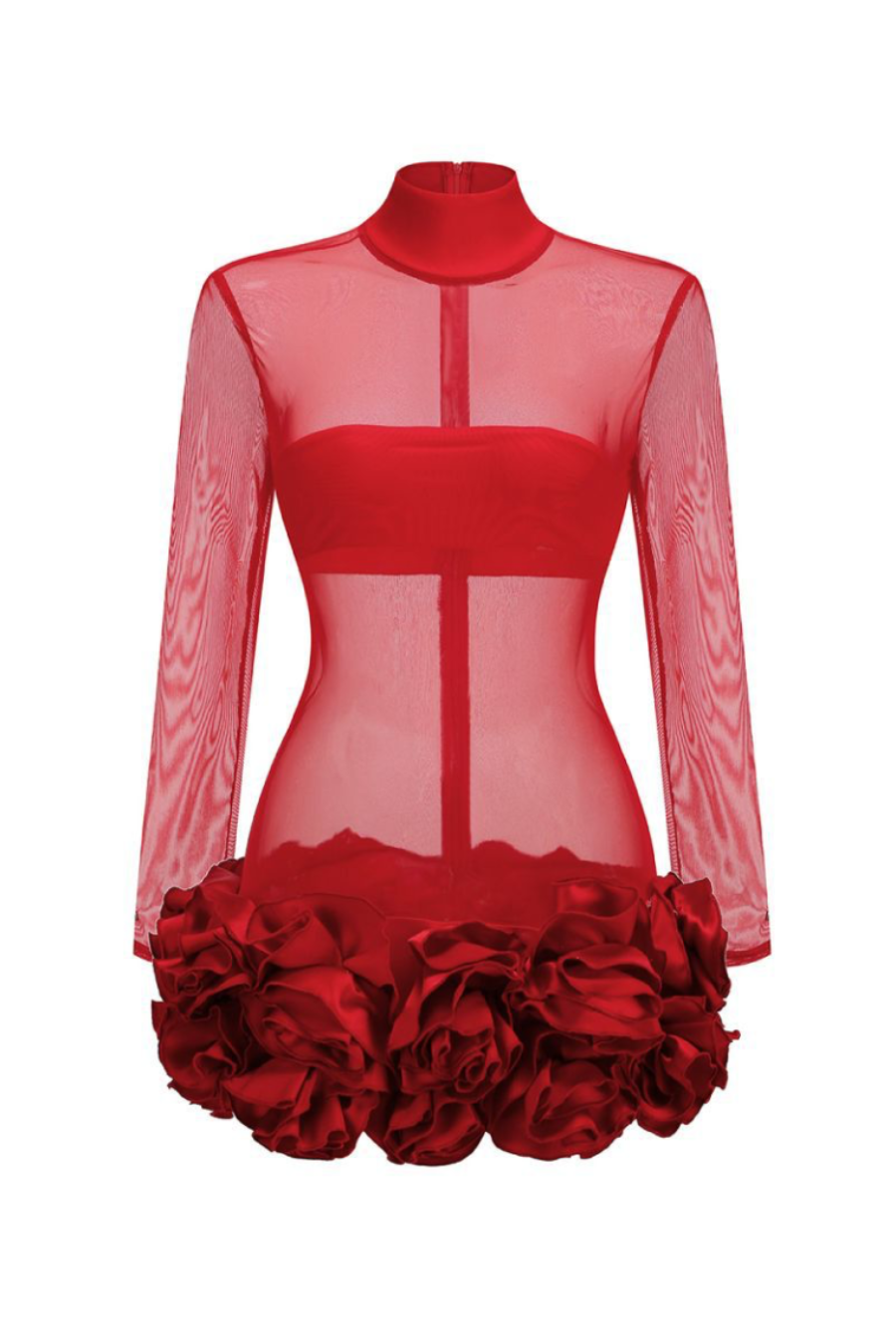 FIONNA RED FLORAL MESH LONG SLEEVE MINI DRESS