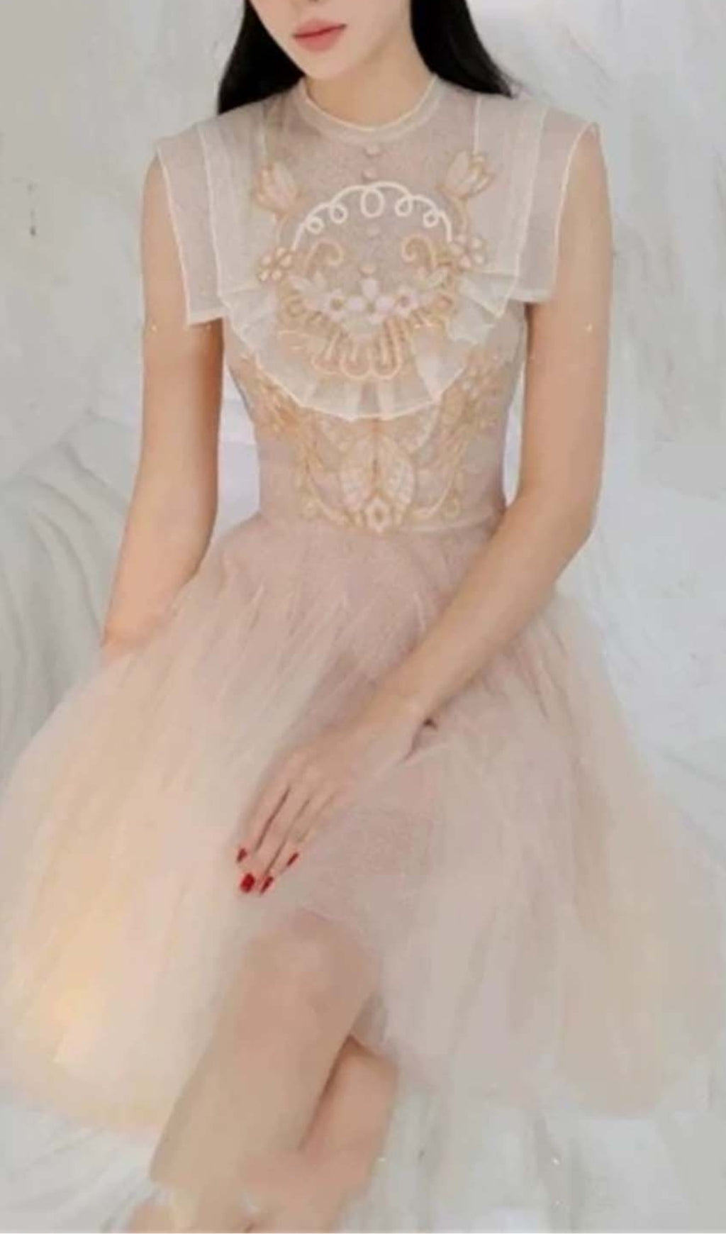 MESH EMBROIDERED PINK SKATER DRESS FOR PARTIES