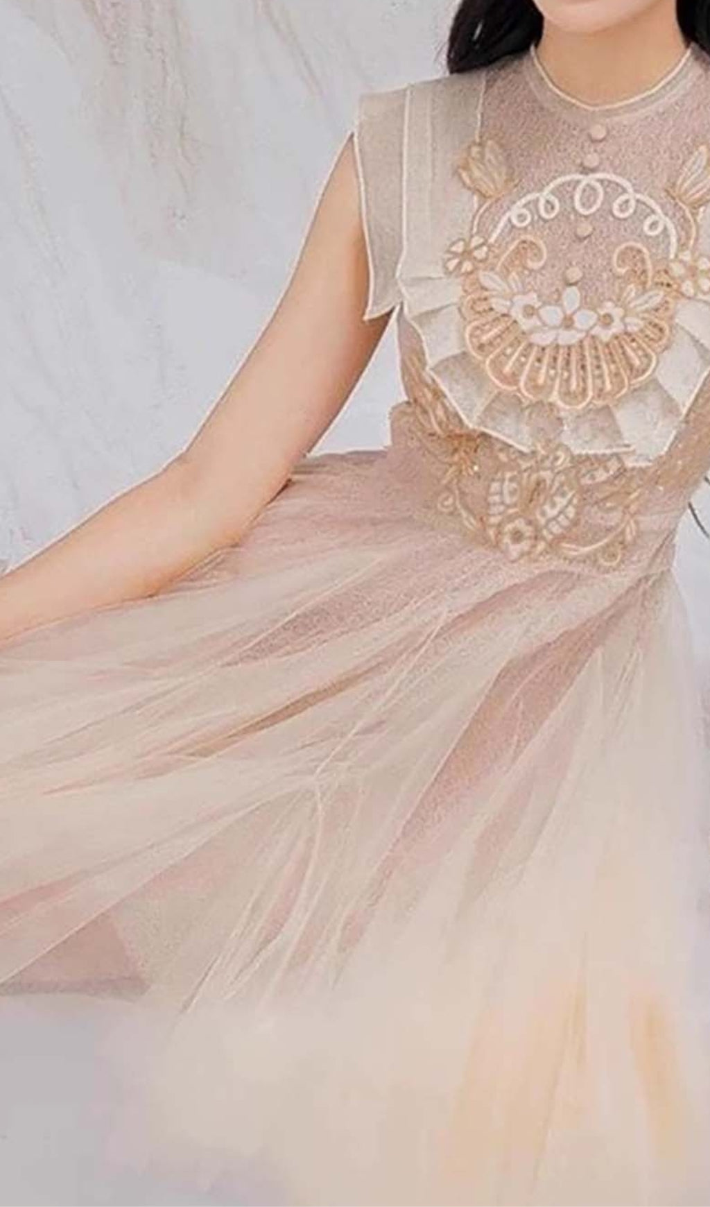 MESH EMBROIDERED PINK SKATER DRESS FOR PARTIES