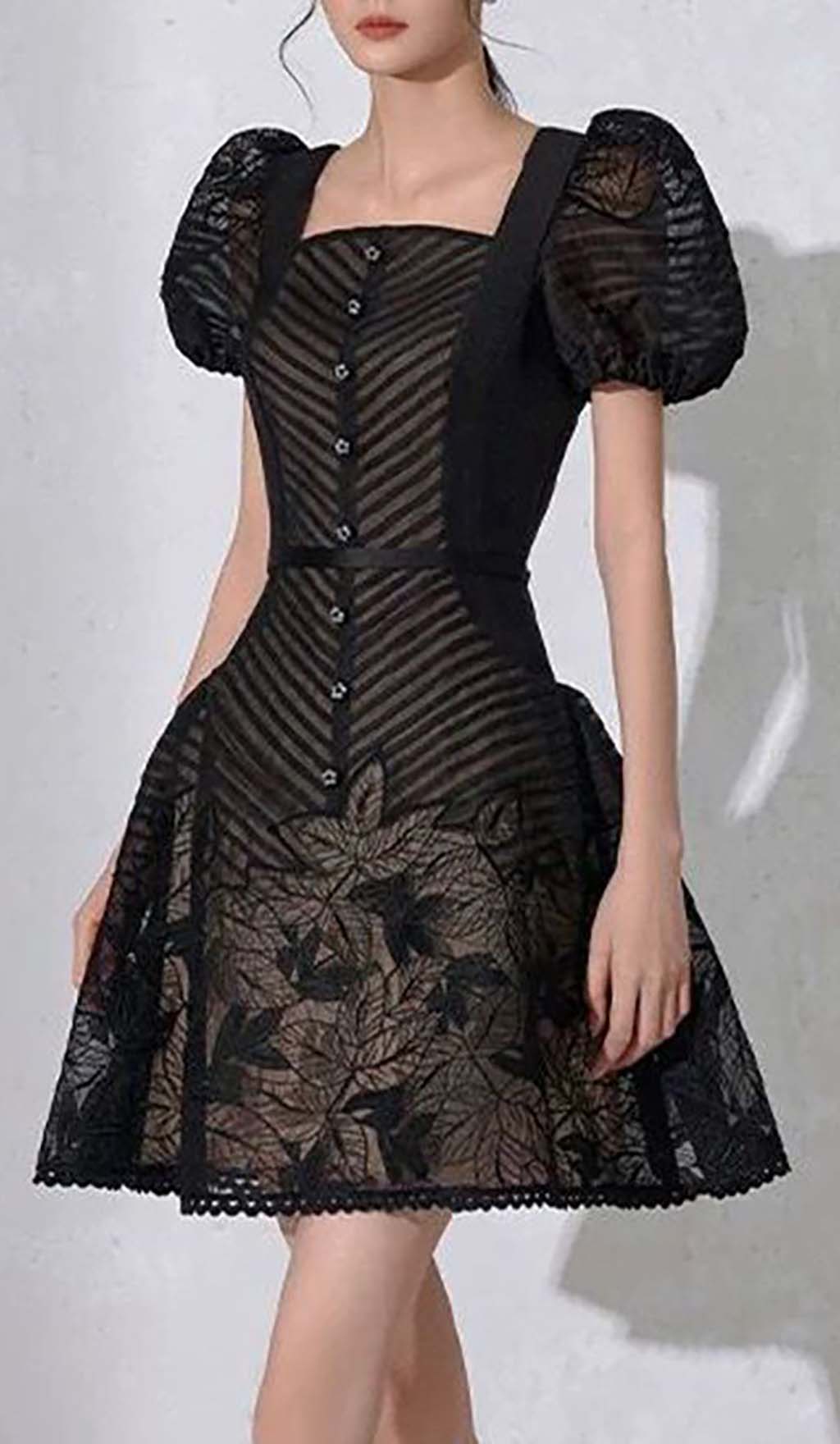 BLACK PUFF SLEEVE MESH A-LINE MINI DRESS