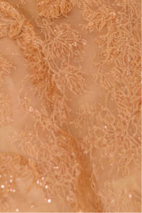 HONEY BEADED LACE COCKTAIL DRESS