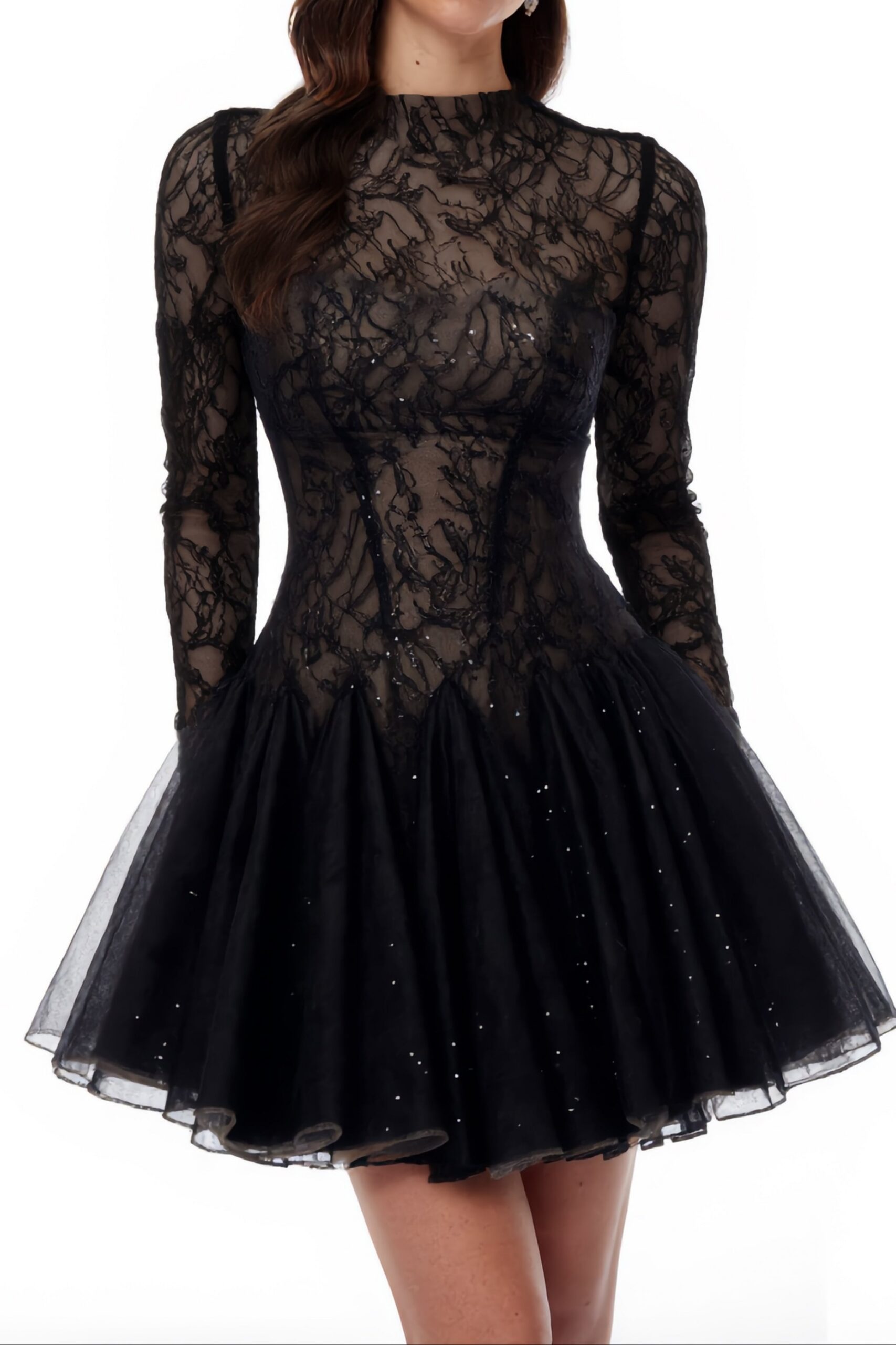 05_cfd14050-eb59-4b3a-83a1-05b348eb4829 BLACK SHEER LACE HIGH NECK LONG SLEEVE TULLE MINI DRESS