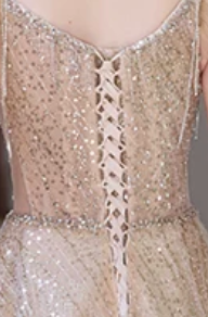 8bdbb68586ad1c0618fcf5b7224a3f79 CHAMPAGNE GLITTER TULLE A-LINE EVENING GOWN