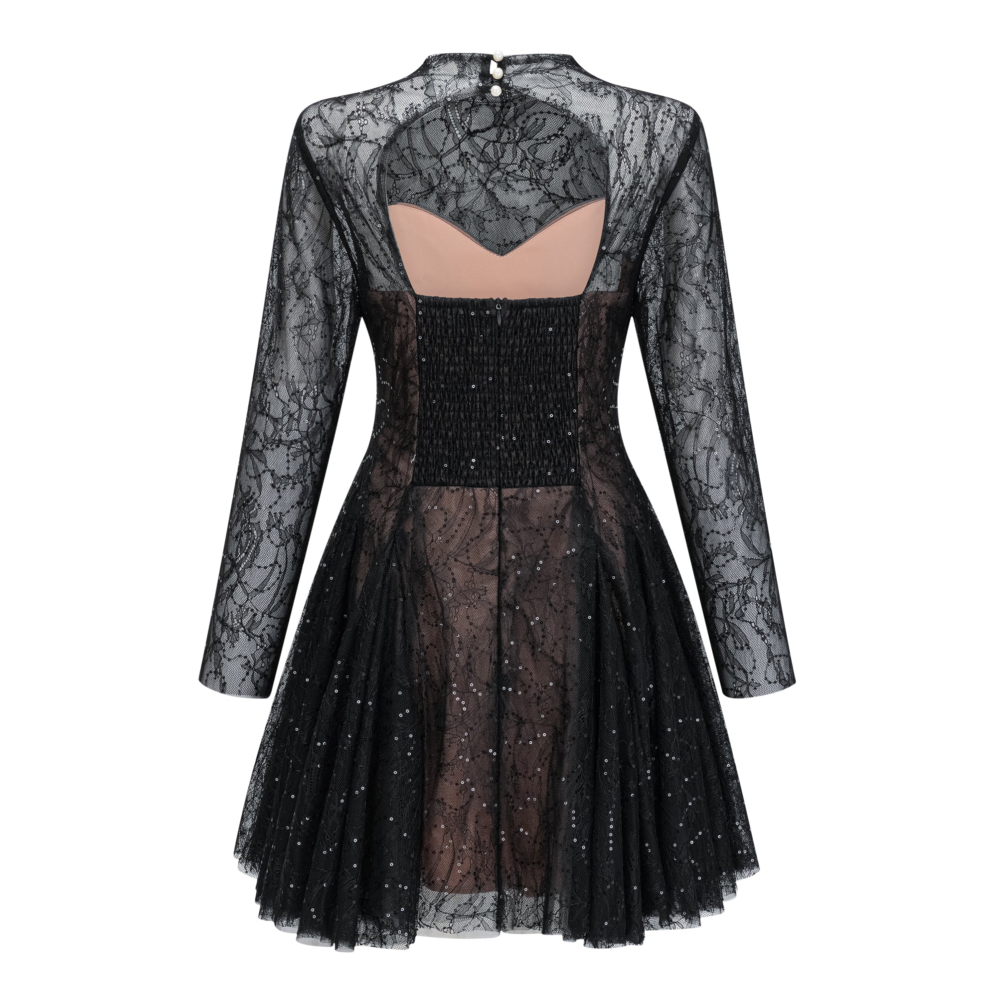 DSC05090 BLACK SHEER LACE HIGH NECK LONG SLEEVE TULLE MINI DRESS