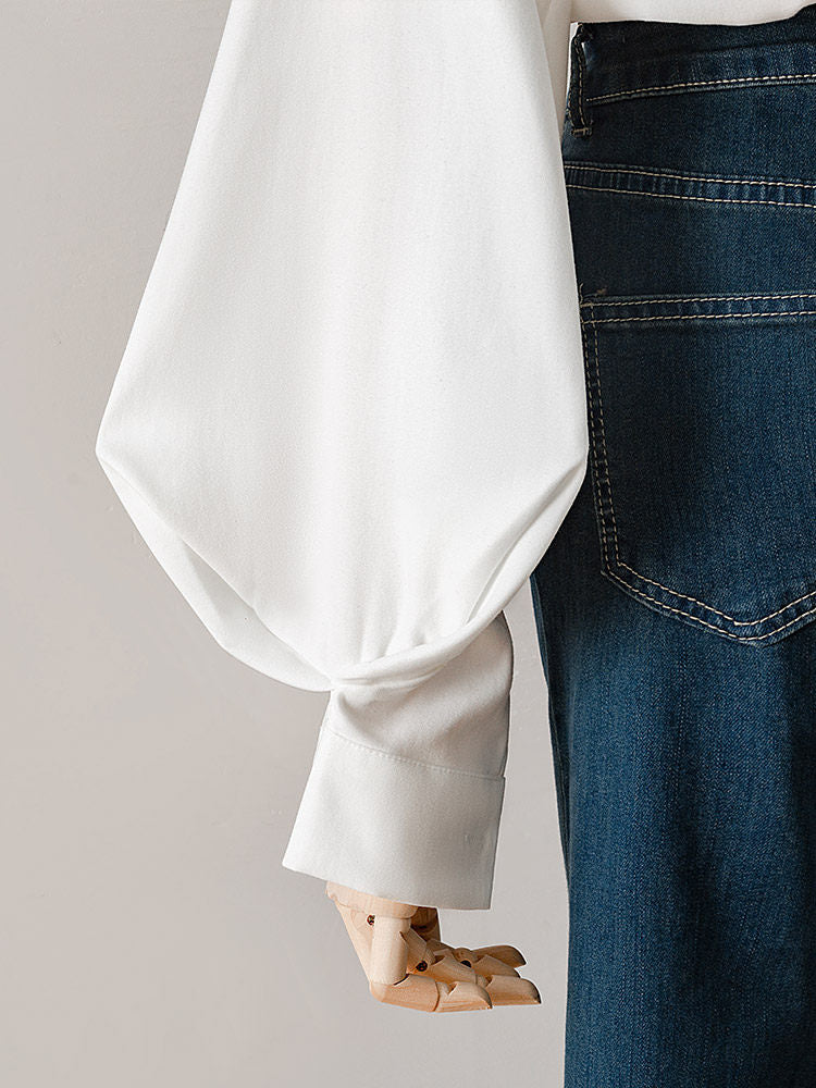 LANTERN SLEEVE POINT COLLAR WORK BLOUSE