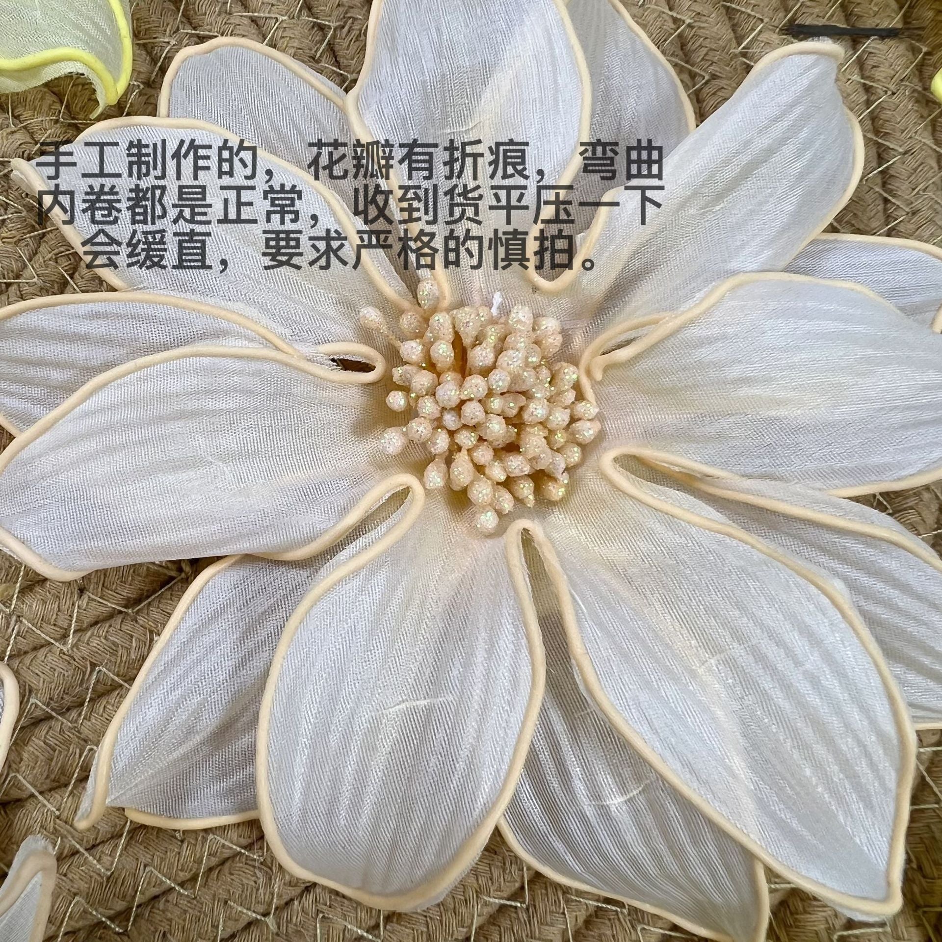 O1CN01hK9fWV1O2pnCHALqQ__2925351648-0-cib HANDMADE DAISY 3D FLORAL KIDS SWIMWEAR & LINGERIE SET
