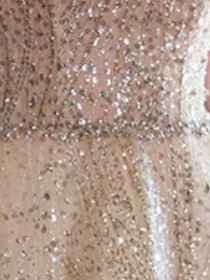 c53aa717ddf86743abab1b37186388eb CHAMPAGNE GLITTER TULLE A-LINE EVENING GOWN