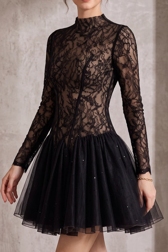 c73bb9191cd78e3f BLACK SHEER LACE HIGH NECK LONG SLEEVE TULLE MINI DRESS