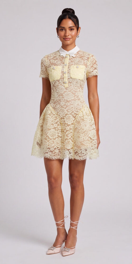 21467a7be39623d5 PALE YELLOW LACE FIT-AND-FLARE DRESS - WEDDING GUEST